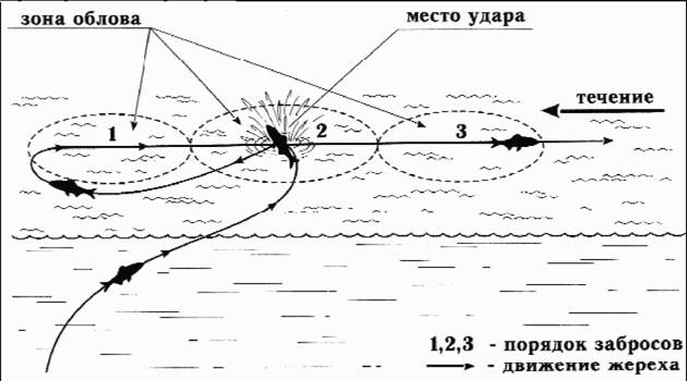 Файл:Рис. 3. Наиболее типичные движения жереха после удара («всплеска») и порядок.jpg