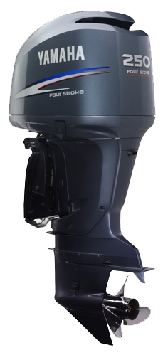 Файл:Yamaha FL250DETX.jpg