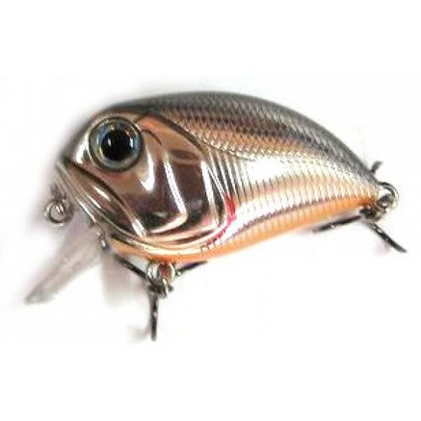 Файл:Kosadaka Boxer XS 40F SBL .jpg