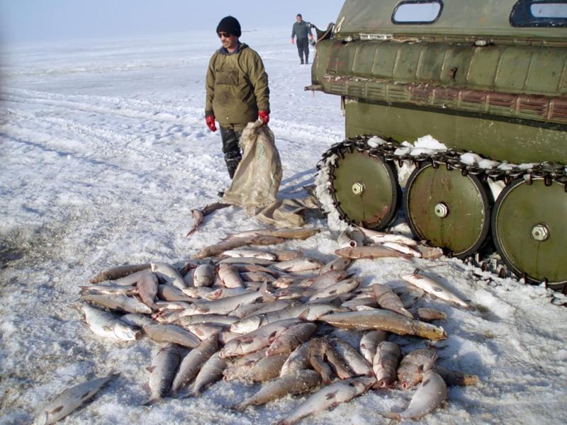Файл:Рыбалка в Ямало-Ненецком автономном округе.jpg