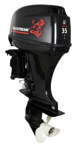 Файл:Golfstream T36JFWS.jpg