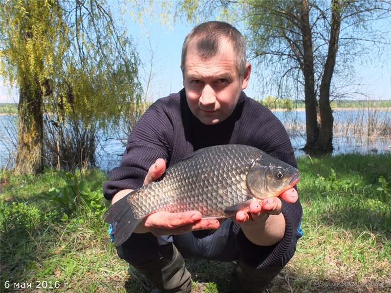Файл:Ловля рыбы в Ульяновской области.jpg