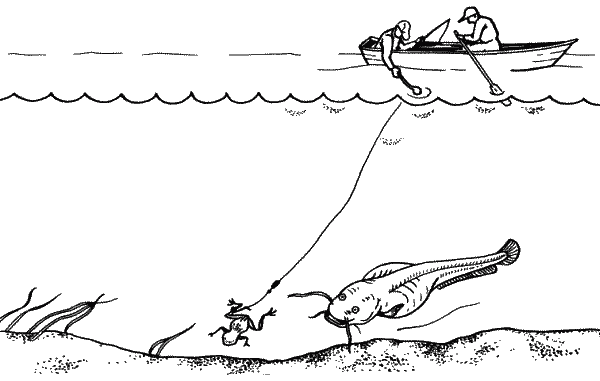 Файл:Ловля сома на квок.png