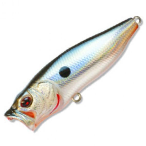 Файл:Kosadaka Takao 55F GT .jpg