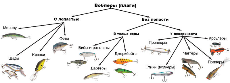 Файл:Классификация воблеров.jpg