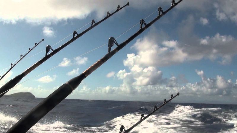 Файл:Морская рыбалка.jpg