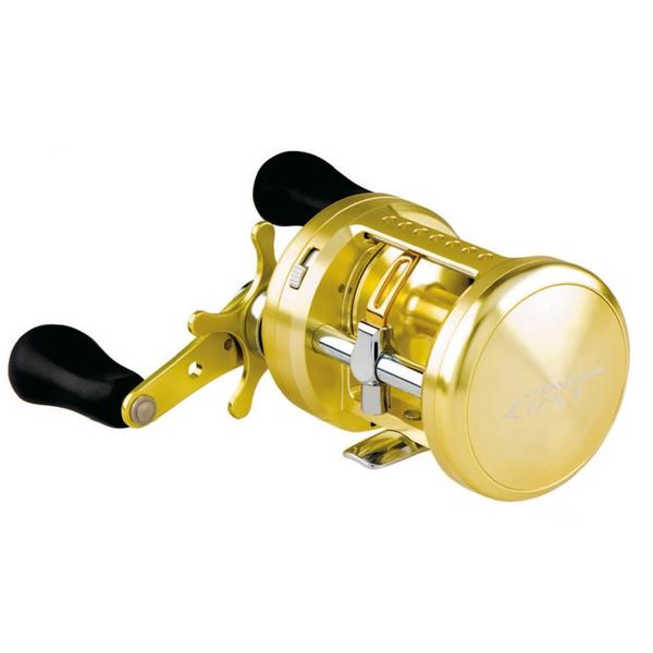 Файл:Daiwa TD Luna 300L.jpg