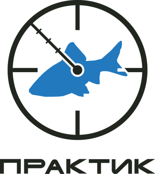 Файл:Эхолоты Практик.png