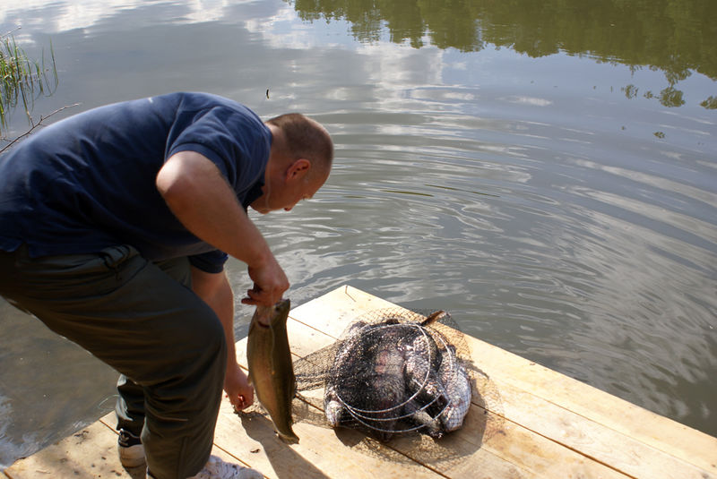 Файл:Платная рыбалка в Калужской области.jpg