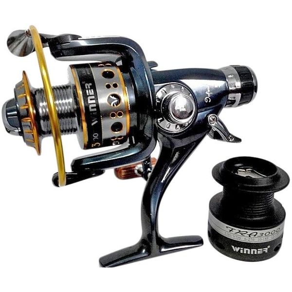 Файл:Winner FRA3000.jpg