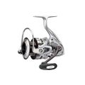 Daiwa Exceler 3012H.jpg
