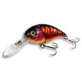 Jackall Aragon Jr MR Table Rock Shad .jpg