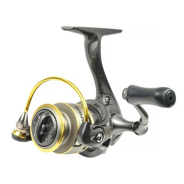 Файл:Ryobi Spiritual 500 3 1bb.jpg