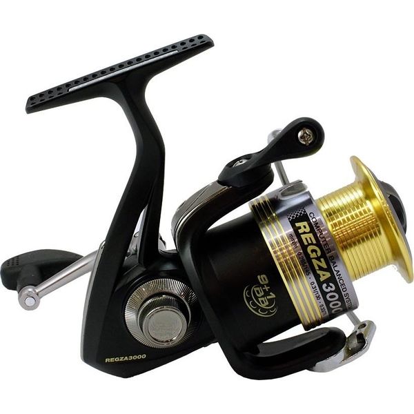 Файл:Favorite Regza 30002.jpg