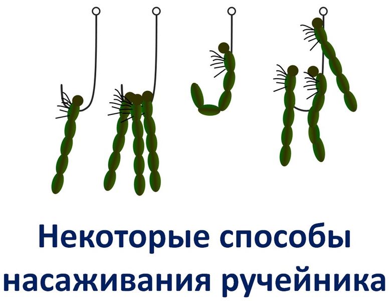 Файл:Способы насаживания ручейника.jpg