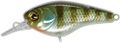 Jackall Jaco 58SR is bluegill .jpg