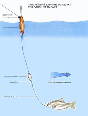 Оснастка для ловли на малька.jpg
