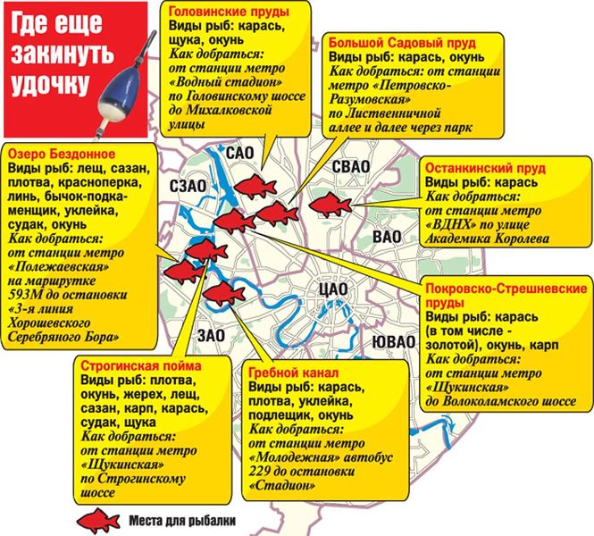 Файл:Рыбалка в Москве.jpg