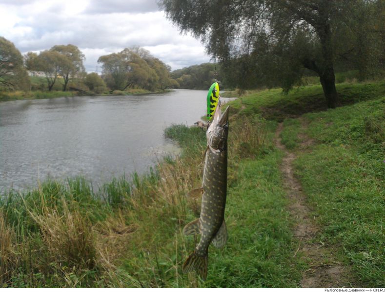 Файл:Рыбалка на реке Протве.jpg