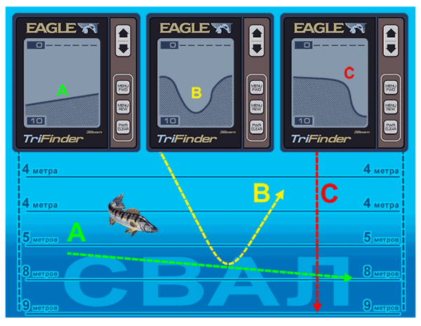Варианты отражения.png