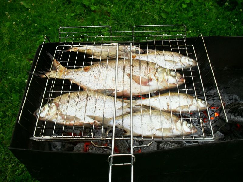 Файл:Жареная густера на костре.jpg