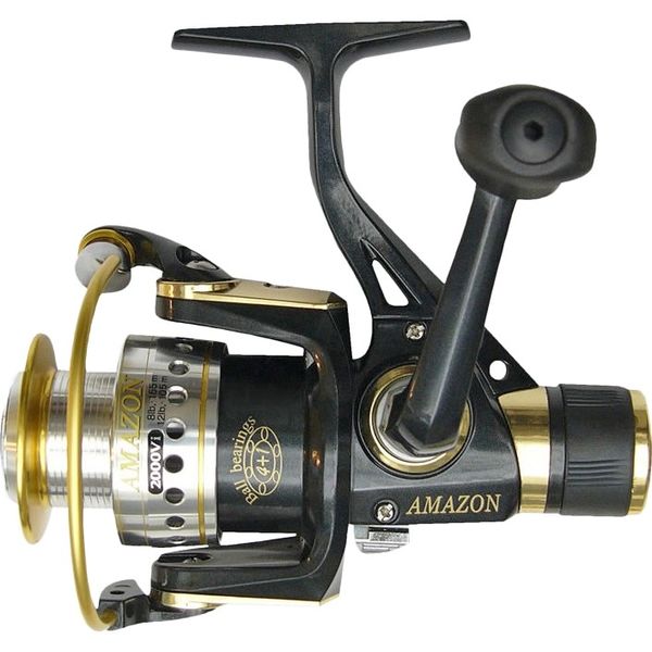 Файл:Ryobi Amazon 2000.jpg