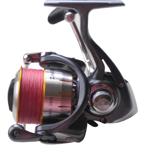 Файл:Daiwa 11 Freams 2500.jpg