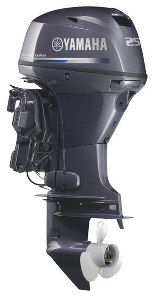 Файл:Yamaha FT25FETL.jpg