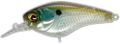 Jackall Jaco 58SR to ghost shad .jpg