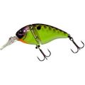 Jackall Aragon Jr SR Table Rock Shad .jpg