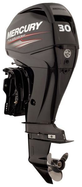 Файл:Mercury ME F 30 ELPT EFI.jpg