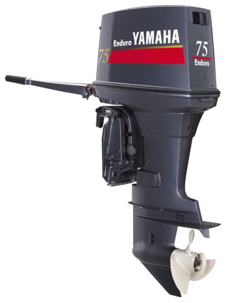 Файл:Yamaha E75BMHDL.jpg