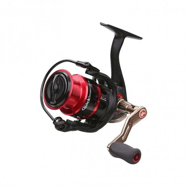 Файл:DAM Quick FZ1 830 FD.jpg