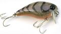 Jackall Chubby 38SSR brown suji shrimp .jpg