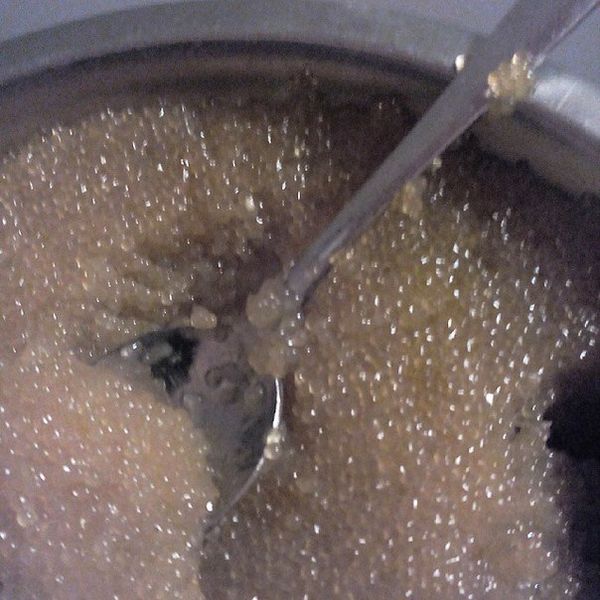 Файл:Щучья икра.jpg